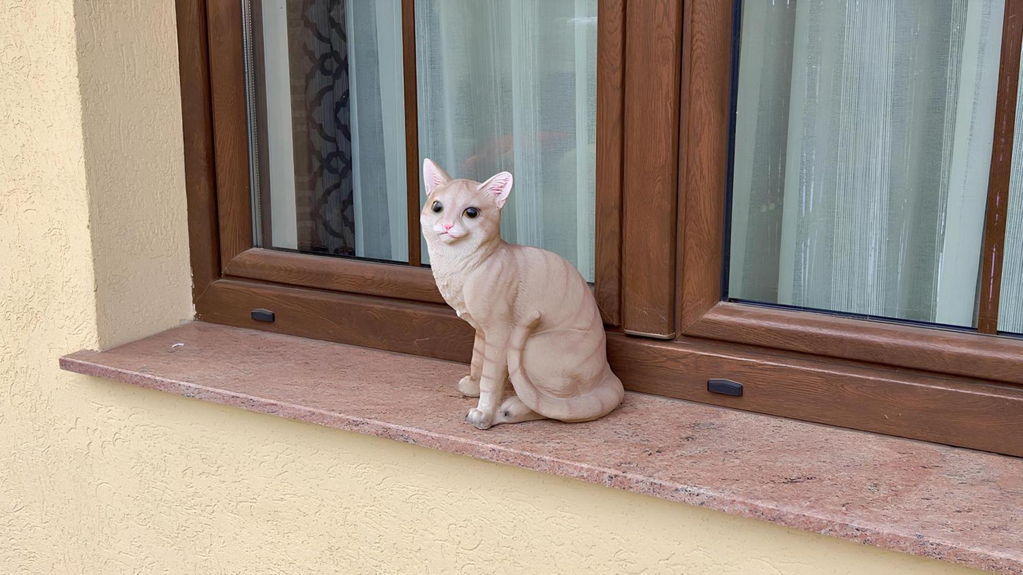Simona * Brașov
